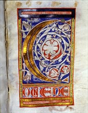 Drop cap 'C' illuminated with two birds and lush floral decoration, manuscript on parchment made??