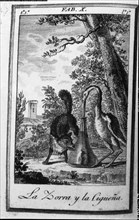 Illustration of the fable 'La zorra y la cigüeña' (The Fox and the Stork) by Felix Maria de Saman?