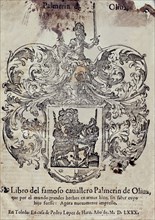 Palmerin de Oliva, book of the famous knight Palmerín de Oliva, printed in Toledo by Pedro Lopez ?