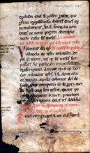 Forum Indicum, a manuscript translated to a perfectly constructed Catalan language, this text pre?