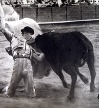 Carlos Arruza, Mexican bullfighter (1920-1966).