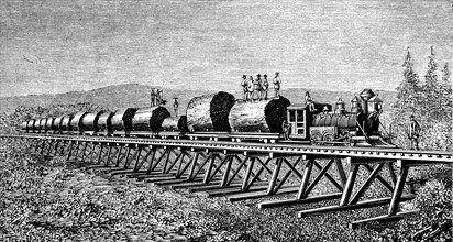 Steam train carrying trunks of giant trees in California, engraving of 1886.