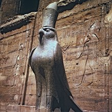 Sculpture of the god Horus at the Edfu temple entrance in Egypt.