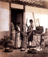 Black slaves grinding coffee on an agricultural plantation, lithograph.