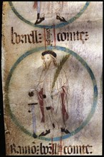 Borrell II (915 - 992), Count of Barcelona, Gerona, Ausona and Urgell, successor son of Count Sun?