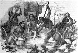 Indigenous from La Española collecting golden sands in the rivers of the island, engraving, 1840.