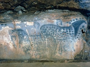 Paintings Hall (Pech-Merle Cave), Painting of two contemporary horses overlapped, they are shown ?