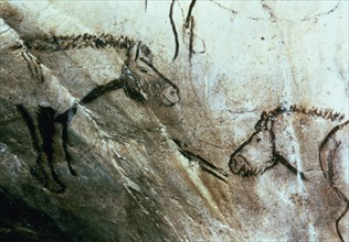 Bearded Horses in the Black Hall (Niaux cave) - panel 3: they are drawn in black by dashed profil?