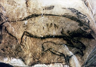 Panel 5, No. 94 Black Hall (Niaux cave): it has been interpreted as a dead female bison, by the o?