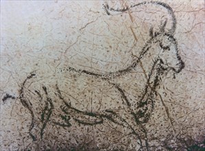 Naturalistic representation of an Spanish goat in movement (La Pileta cave, Málaga), using the di?