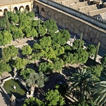 View of the Orange Trees Courtyard in the Catedral de Cordoba, from the Minaret.