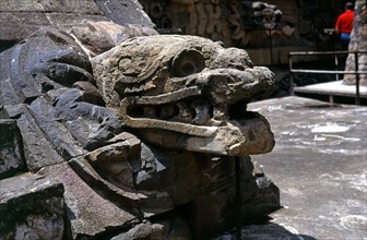 Teotihuacan, Temple of Quetzalcoatl, sculpture of the head of a snake emerging from a kind of ruf?