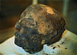 Mummified head of the boss of the royal team. From the tomb of Nebera.