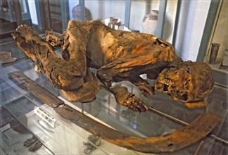 Detail of a mummy.