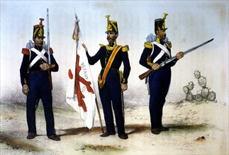 Reign of Ferdinand VII. 1808-1833. Infantry, 1824, infantrymen: Grenadier, Fusilier and Standard ?