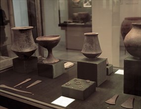 Grave goods of the archaeological site of El Argar (Almeria): well-crafted ceramic pieces, black ?