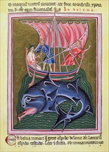 The whale, a miniature in an English Bestiary.