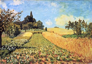 'Wheat Field', oil Painting by Alfred Sisley.