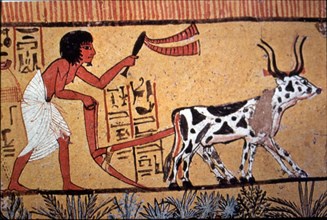 Representation of an Egyptian doing agricultural tasks, detail of a fresco from the tomb of Senne?