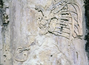 Relief in 'The Palace' representing a king or a warrior.