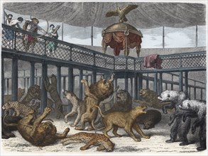 Roman dignitaries killing beasts in the amphitheater, engraving 1870.