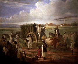 'Cane Mill', Oil, 1874 by Victor Patricio de Landaluze.