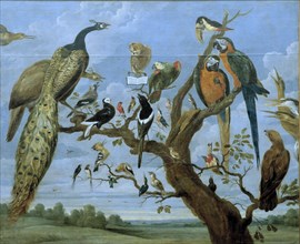 'Concert of Birds', oil Painting by Paul de Vos.