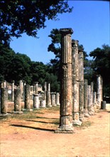 View of the Doric columns of Olympia.