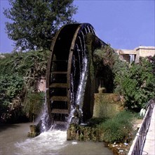 Arab waterwheel in the Huerta Museum (Vegetable garden Museum).