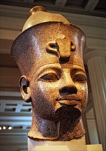 Head of Ramses II (1301 - 1235 a.C.).