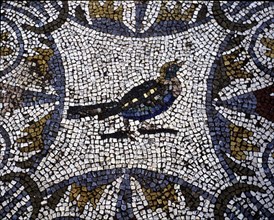 Mosaic in the Amphitheatre house representing a bird, preserved in the archaeological site of Mer?