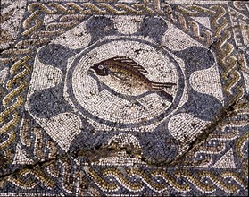 Mosaic in the dining room of the Amphitheatre house representing a fish, preserved in the archaeo?