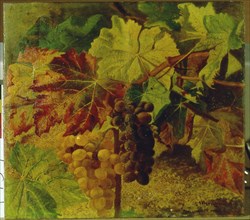 'Grapes'  by Josep Mirabent.