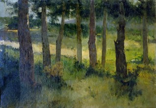 Forest', by Joaquim Vayreda.