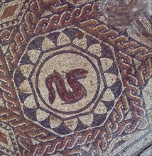 Detail of a mosaic depicting a snake in the Roman house of the Merida Amphitheater.