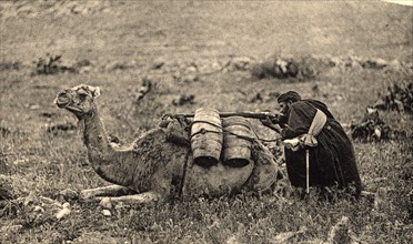 Postcard. War of Africa. Tamasusin occupation. Arabian camel driver shooting at enemy, 1923.