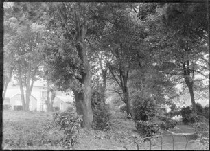 Garden, c1935. Creator: Kirk & Sons of Cowes.