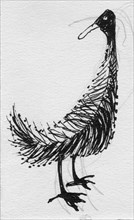 Bird, c1950. Creator: Shirley Markham.