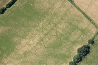 Crop marks of a probable prehistoric or Roman settlement, near Bicton, Devon, 2018