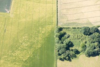 Cropmarks of Iron Age burial sites on the Yorkshire Wolds, East Riding of Yorkshire, 2018