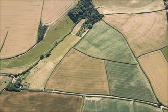 Prehistoric farms, Stogumber, Somerset, 2018