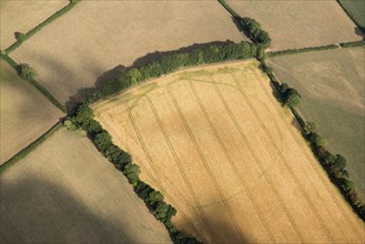 Large, likely prehistoric, enclosure crop mark, near Churchstanton, Somerset, 2018