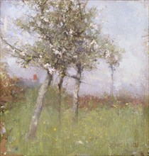 Apple blossom, 1885.