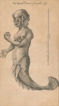 The Syren Drawn from the Life', 1759?