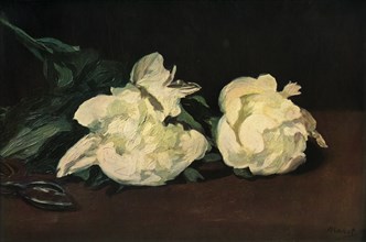 White Peonies', 1864, (1937).