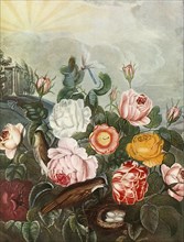 Roses', c1805, (1948).