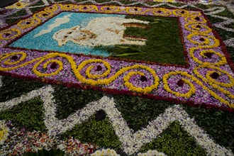 Holy Week Surco Flower Carpet, Lima, Peru, 2015.