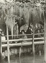 A Wisteria Arbour at Kameido', 1910.