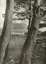 Fuji Through the Pines of Lake Motosu', 1910.