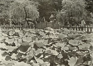 A Lotus Pond', 1910.